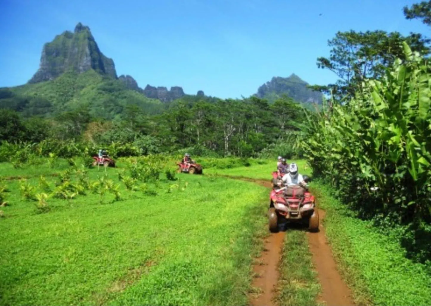 Fare Paloma Moorea Francia Polinézia