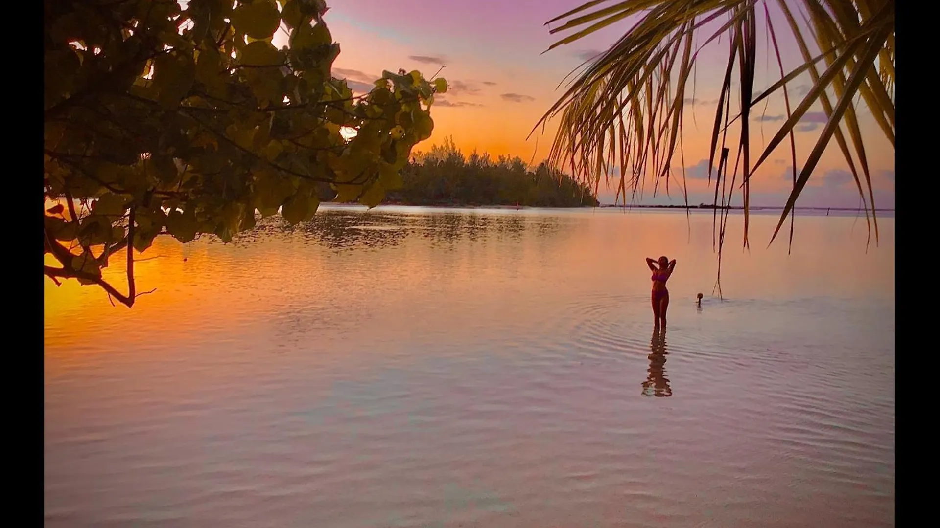 Fare Paloma Moorea 0*,