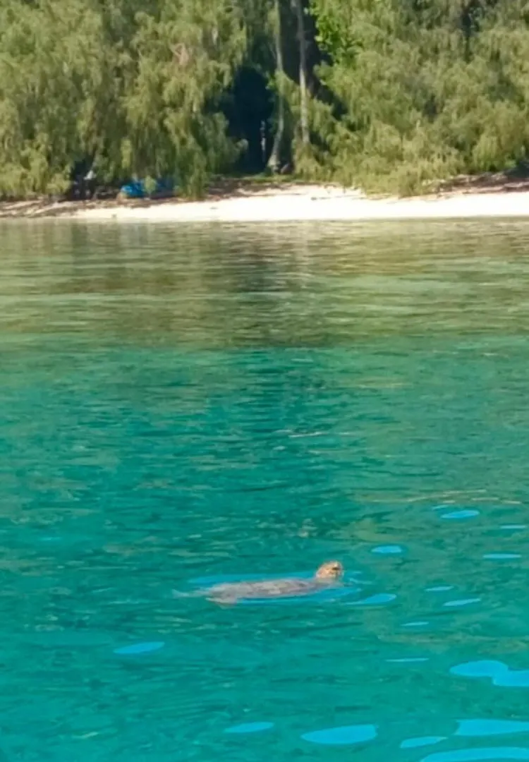 Nyaraló Fare Paloma Moorea Francia Polinézia