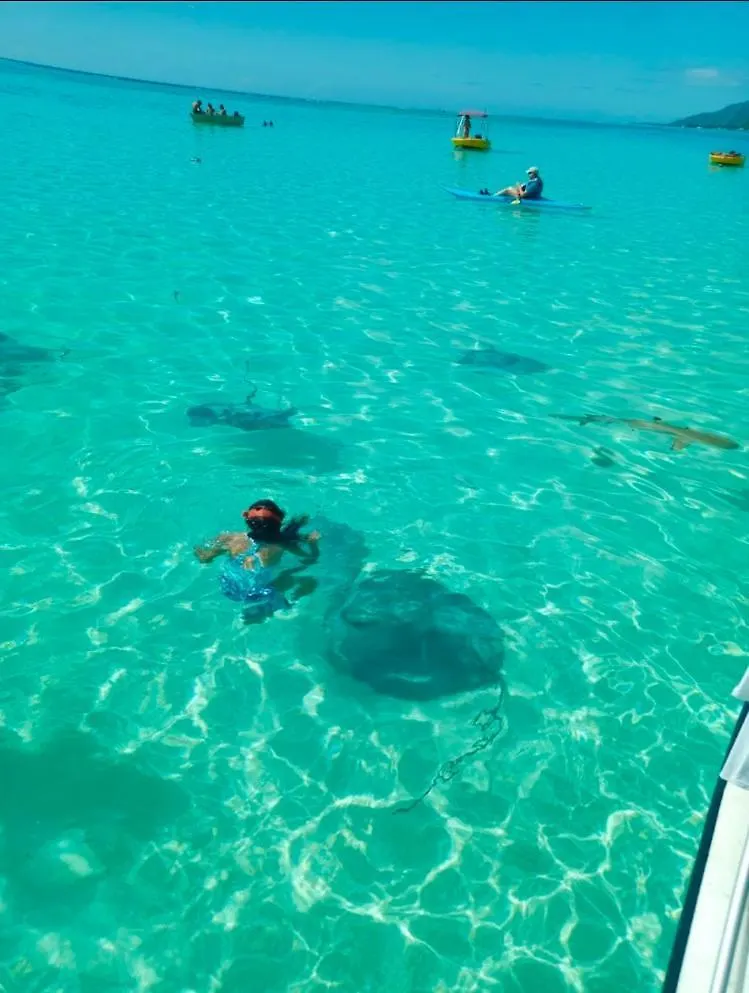 Nyaraló Fare Paloma Moorea